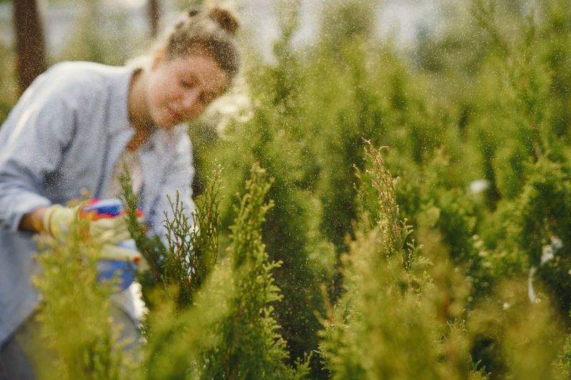 季節の植栽で楽しむ、色彩豊かな外構づくり